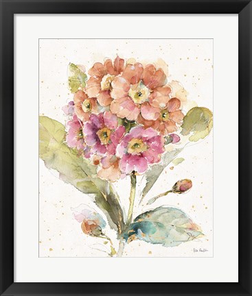 Framed Country Bloom III Print