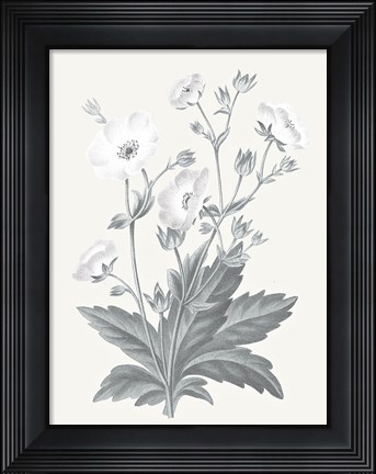 Framed Neutral Botanical VI Print