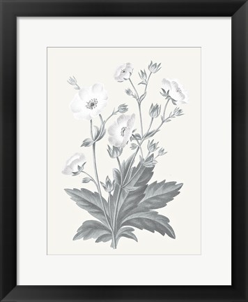 Framed Neutral Botanical VI Print