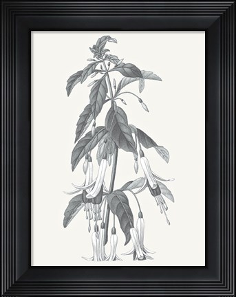 Framed Neutral Botanical I Print
