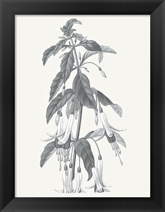 Framed Neutral Botanical I Print