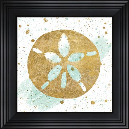 Framed Silver Sea Life Aqua Sanddollar Print