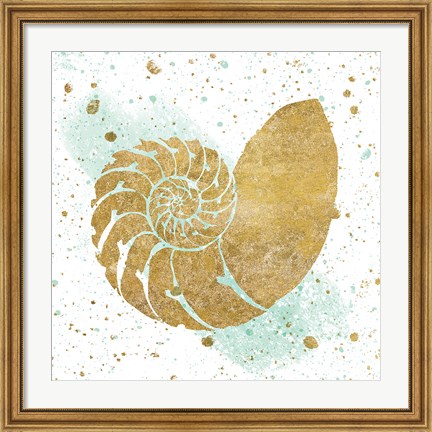 Framed Silver Sea Life Aqua Shell Print