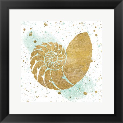 Framed Silver Sea Life Aqua Shell Print