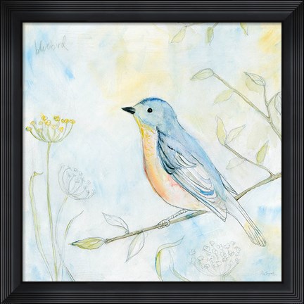 Framed Sketched Songbird II Print