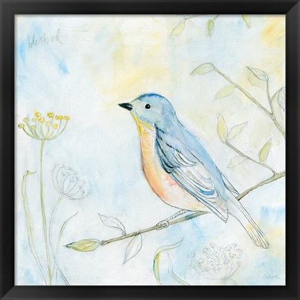 Framed Sketched Songbird II Print