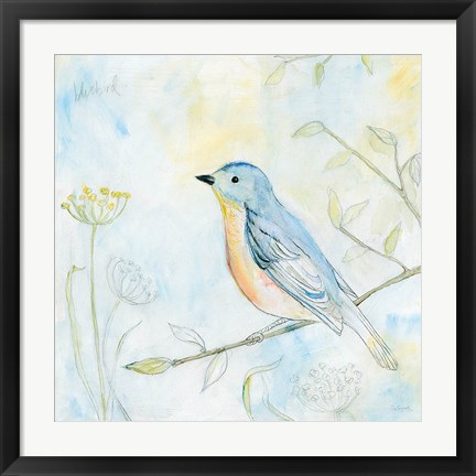 Framed Sketched Songbird II Print