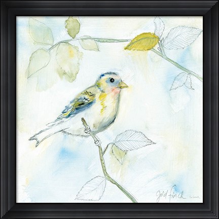 Framed Sketched Songbird I Print
