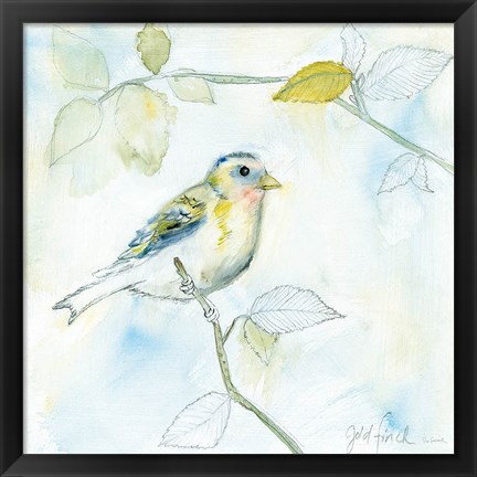 Framed Sketched Songbird I Print