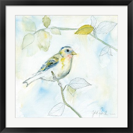 Framed Sketched Songbird I Print