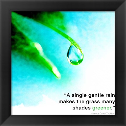 Framed Single Gentle Rain - Henry Thoreau Quote (Droplet) Print