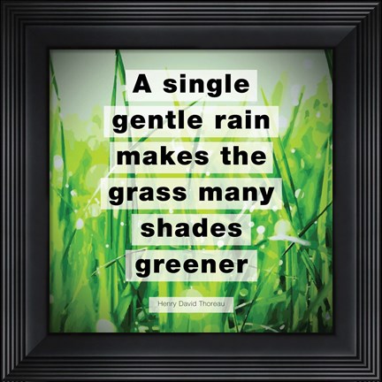 Framed Single Gentle Rain - Henry Thoreau Quote (Vibrant) Print