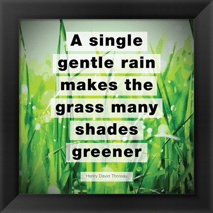 Framed Single Gentle Rain - Henry Thoreau Quote (Vibrant) Print