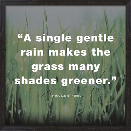 Framed Single Gentle Rain - Henry Thoreau Quote (Dark) Print