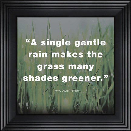 Framed Single Gentle Rain - Henry Thoreau Quote (Dark) Print