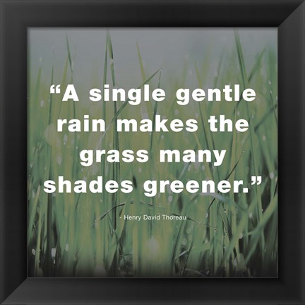 Framed Single Gentle Rain - Henry Thoreau Quote (Dark) Print