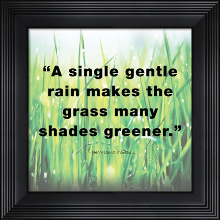 Framed Single Gentle Rain - Henry Thoreau Quote (Light) Print