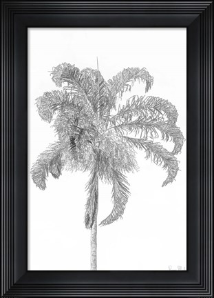 Framed Swaying Palm III Print