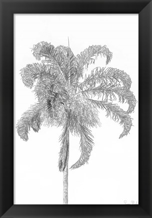 Framed Swaying Palm III Print