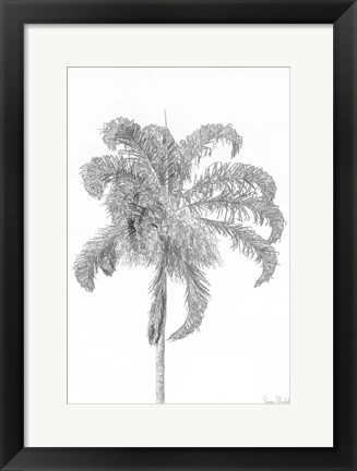 Framed Swaying Palm III Print