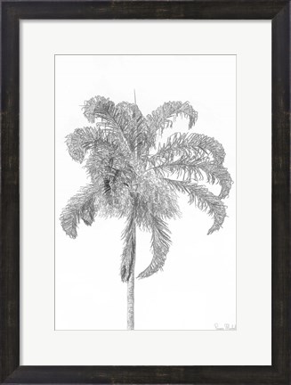 Framed Swaying Palm III Print