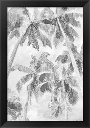 Framed Swaying Palms IV Print