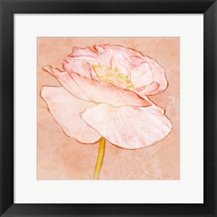Framed Sweet Peach Poppy I Print