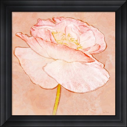 Framed Sweet Peach Poppy I Print