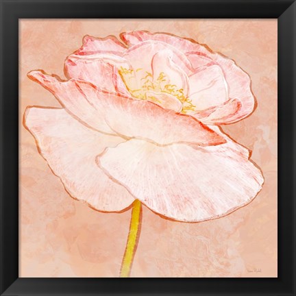 Framed Sweet Peach Poppy I Print