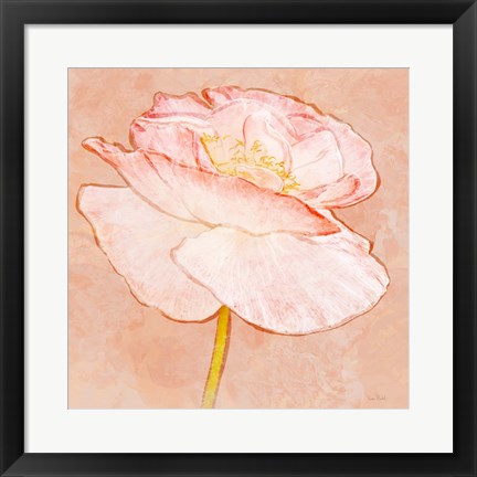 Framed Sweet Peach Poppy I Print