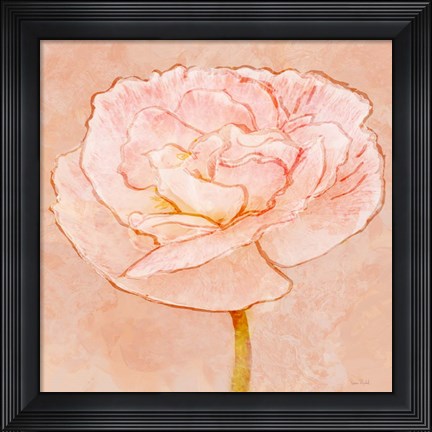 Framed Sweet Peach Poppy II Print