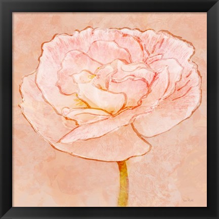 Framed Sweet Peach Poppy II Print