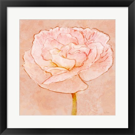 Framed Sweet Peach Poppy II Print