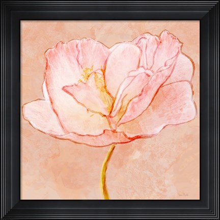 Framed Sweet Peach Poppy III Print