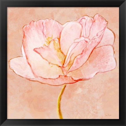 Framed Sweet Peach Poppy III Print