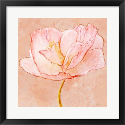 Framed Sweet Peach Poppy III Print