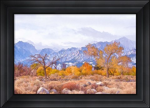 Framed High Desert Vista IV Print