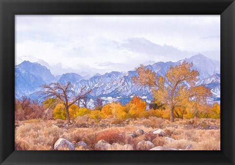 Framed High Desert Vista IV Print