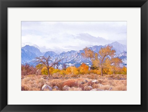 Framed High Desert Vista IV Print