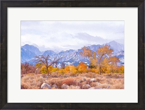 Framed High Desert Vista IV Print