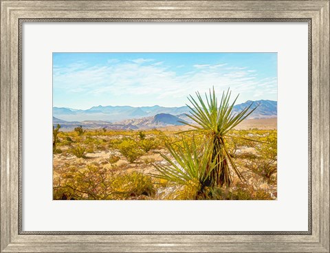 Framed Utah Desert Yucca Print