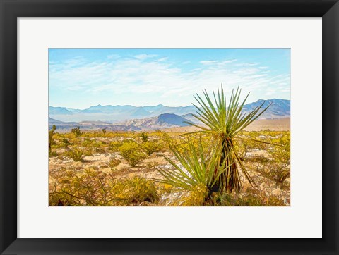 Framed Utah Desert Yucca Print