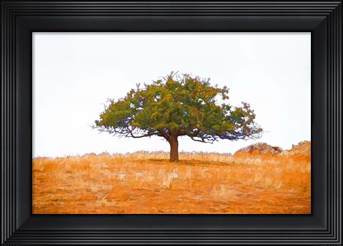 Framed Lone Tree Print