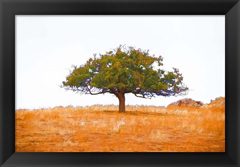 Framed Lone Tree Print