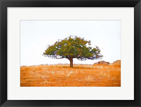 Framed Lone Tree Print