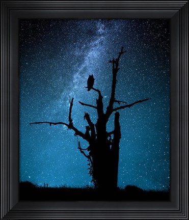 Framed Alone In The Dark Print