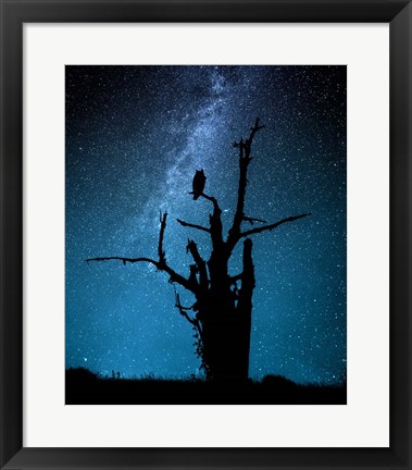 Framed Alone In The Dark Print