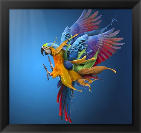 Framed Flying Colours Print