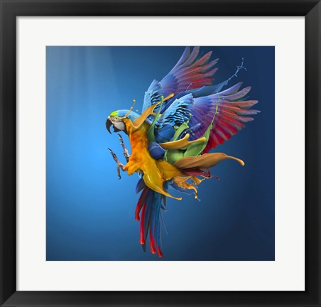 Framed Flying Colours Print