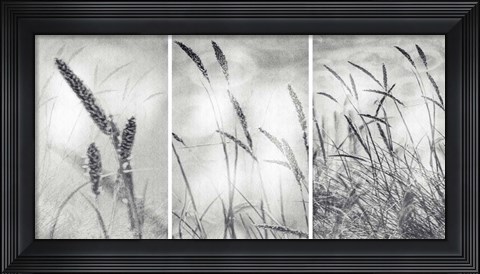 Framed Wilderness Print